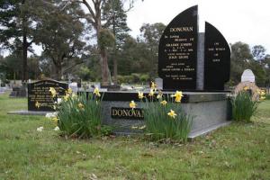 Donovan-daffodils